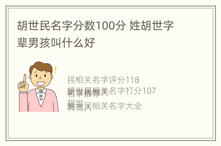 胡世民名字分数100分 姓胡世字辈男孩叫什么好