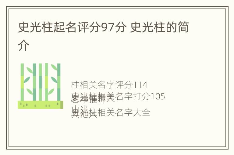 史光柱起名评分97分 史光柱的简介