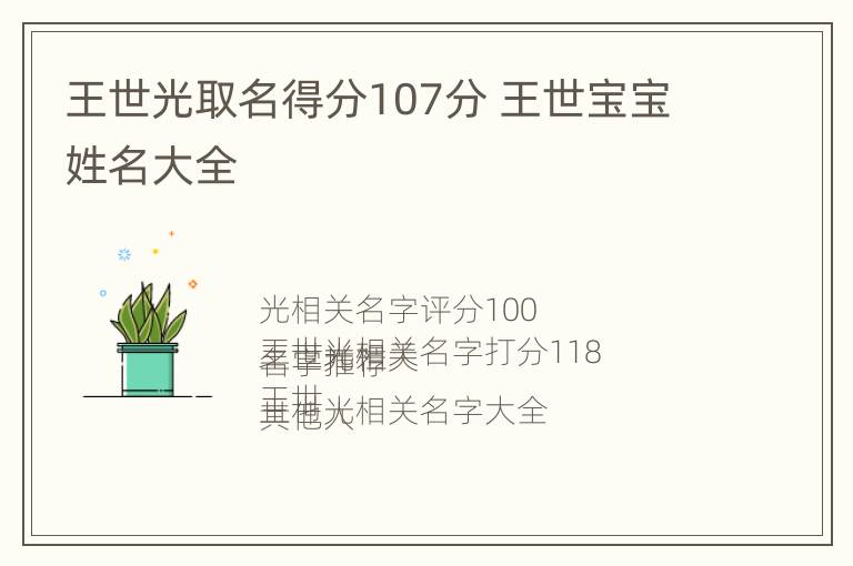 王世光取名得分107分 王世宝宝姓名大全