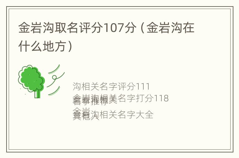 金岩沟取名评分107分（金岩沟在什么地方）