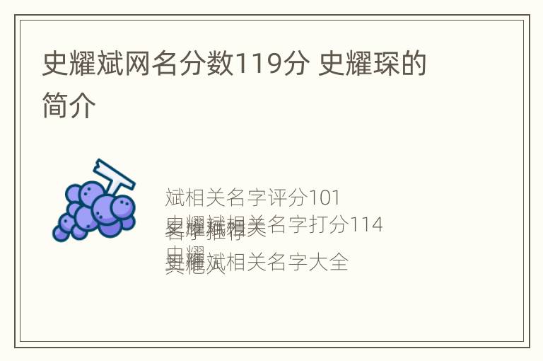 史耀斌网名分数119分 史耀琛的简介