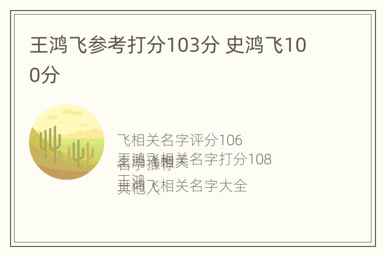 王鸿飞参考打分103分 史鸿飞100分