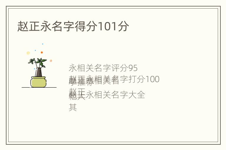 赵正永名字得分101分