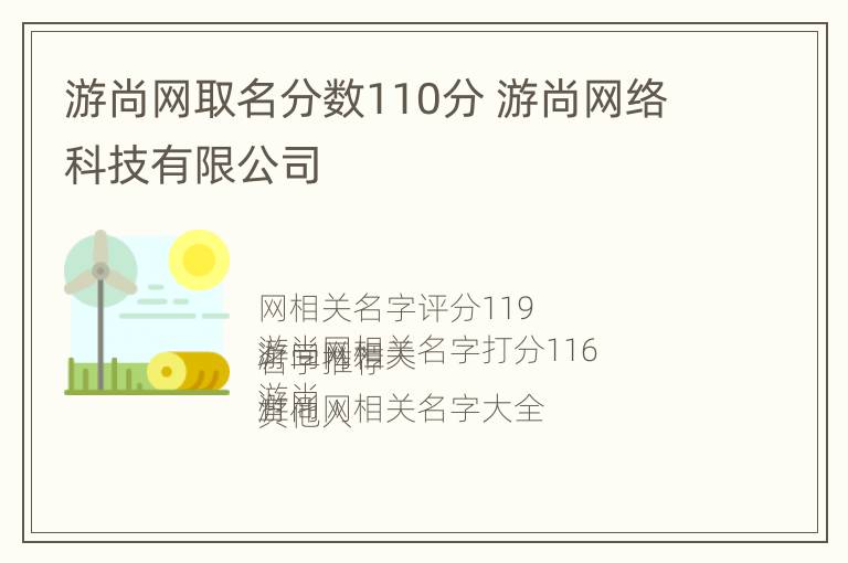 游尚网取名分数110分 游尚网络科技有限公司