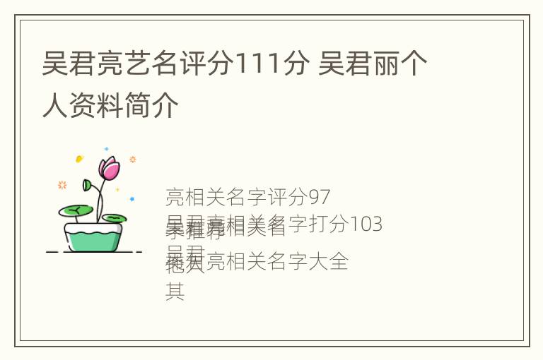 吴君亮艺名评分111分 吴君丽个人资料简介