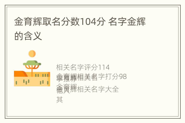 金育辉取名分数104分 名字金辉的含义