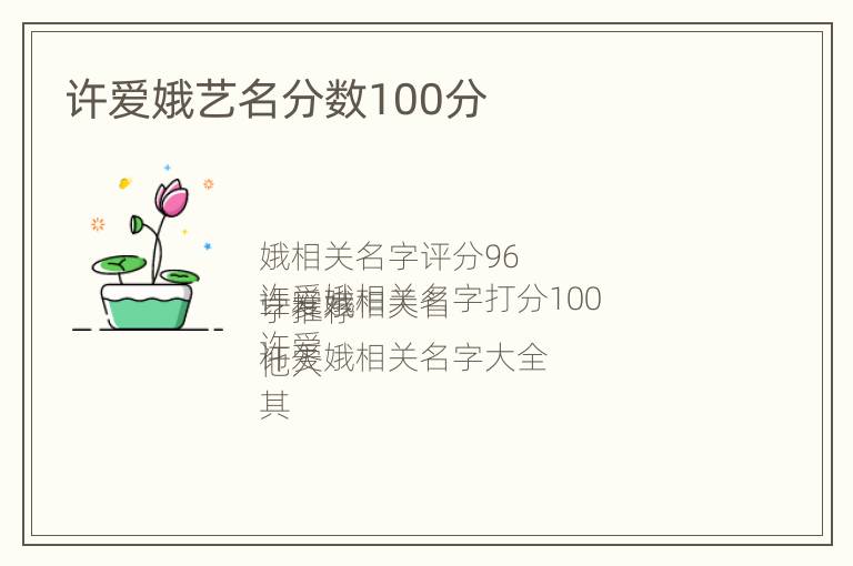 许爱娥艺名分数100分