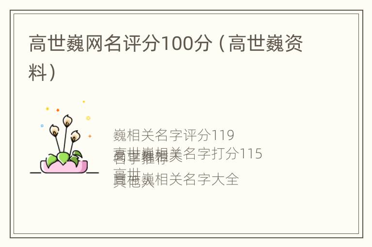 高世巍网名评分100分（高世巍资料）