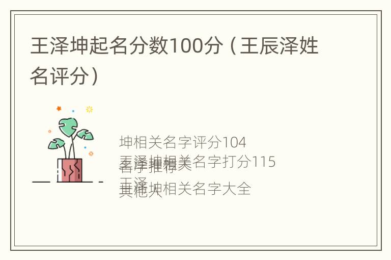 王泽坤起名分数100分（王辰泽姓名评分）