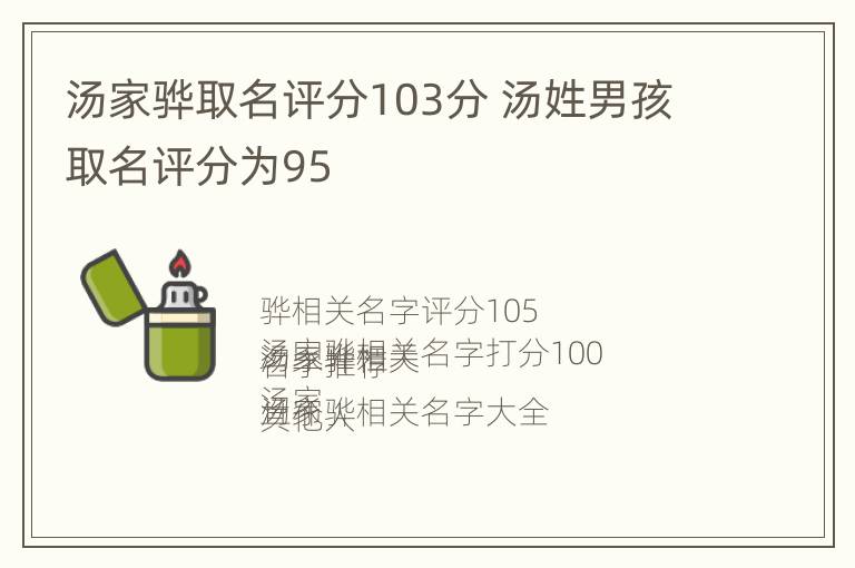 汤家骅取名评分103分 汤姓男孩取名评分为95