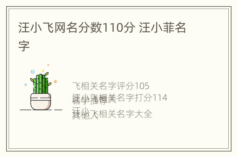 汪小飞网名分数110分 汪小菲名字