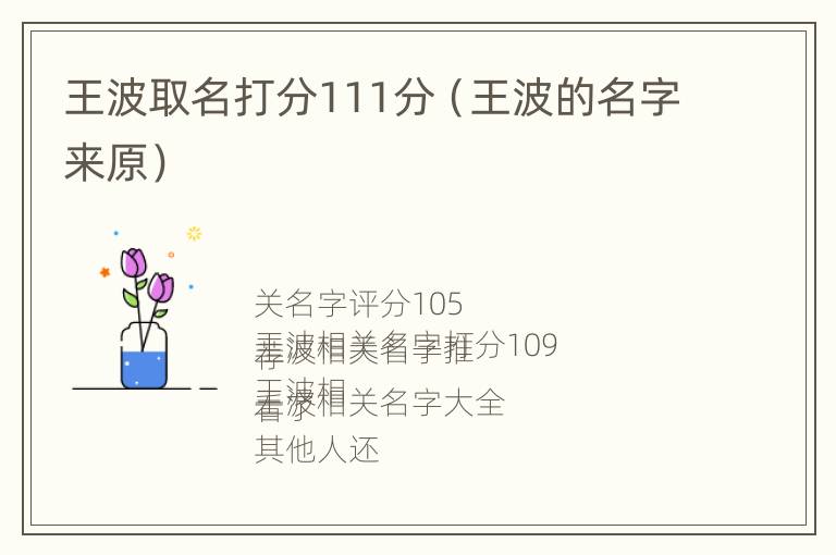 王波取名打分111分（王波的名字来原）
