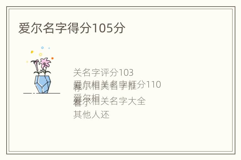 爱尔名字得分105分