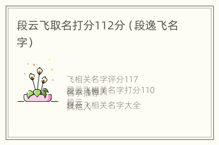 段云飞取名打分112分（段逸飞名字）