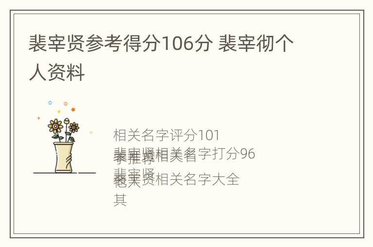 裴宰贤参考得分106分 裴宰彻个人资料