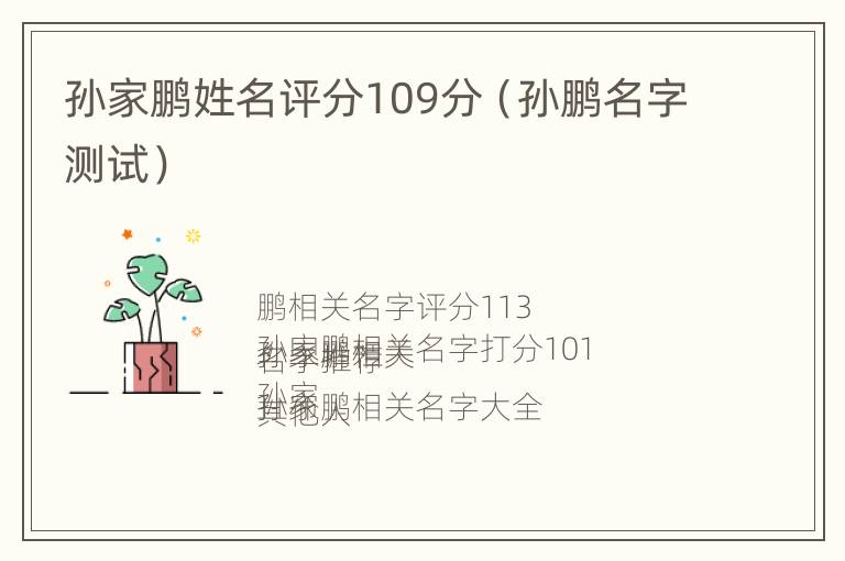 孙家鹏姓名评分109分（孙鹏名字测试）