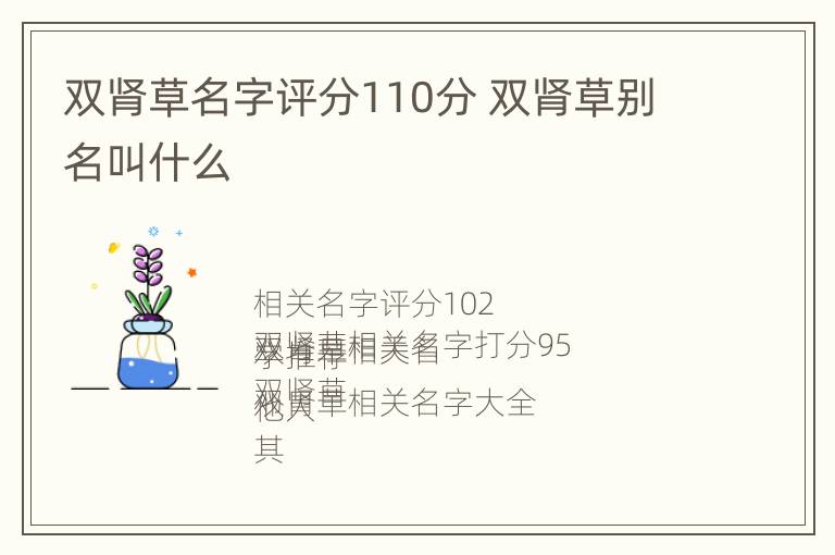 双肾草名字评分110分 双肾草别名叫什么