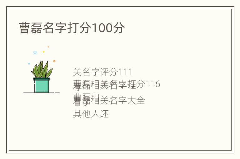 曹磊名字打分100分