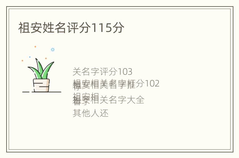 祖安姓名评分115分