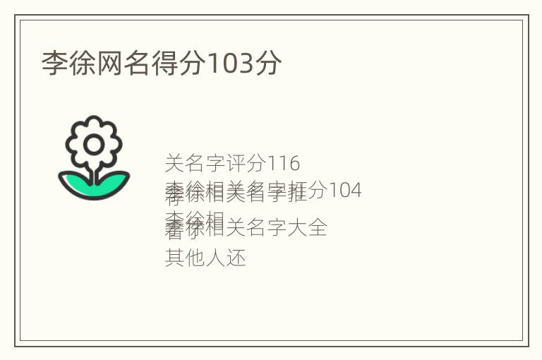 李徐网名得分103分