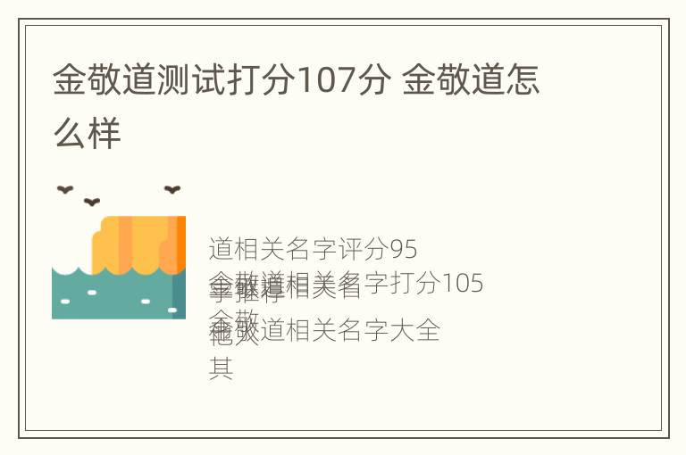 金敬道测试打分107分 金敬道怎么样