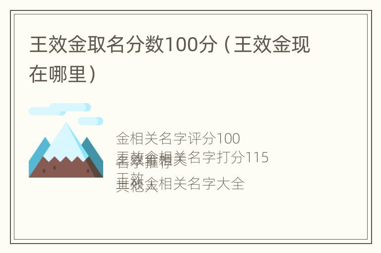 王效金取名分数100分（王效金现在哪里）