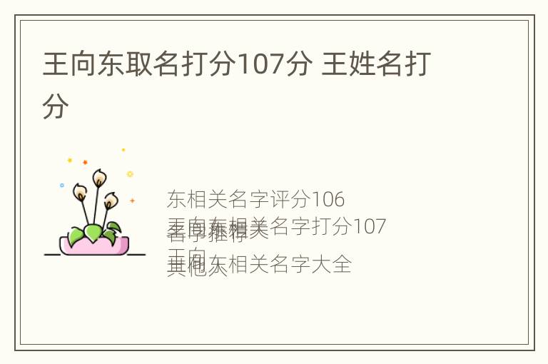 王向东取名打分107分 王姓名打分