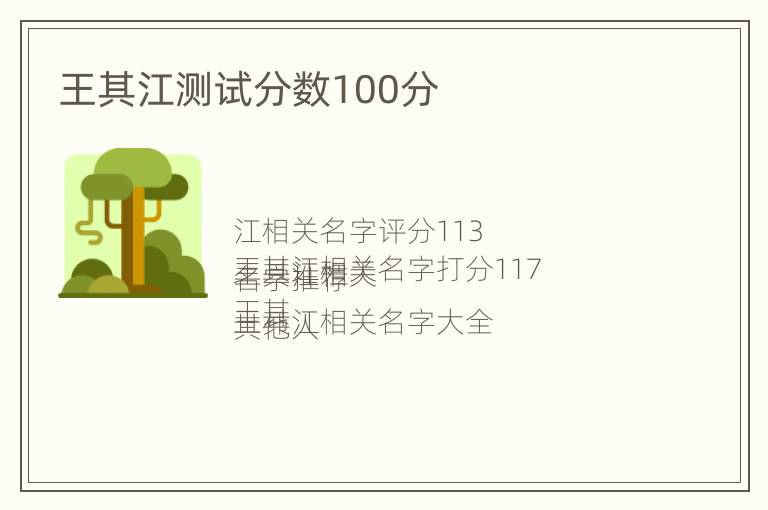 王其江测试分数100分