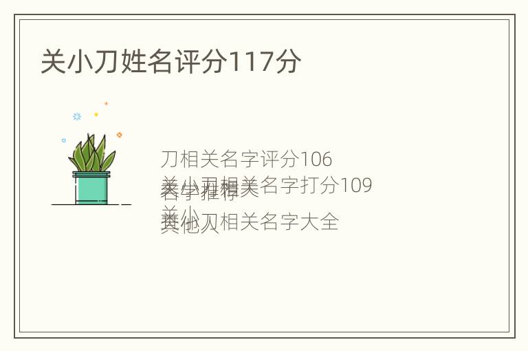 关小刀姓名评分117分