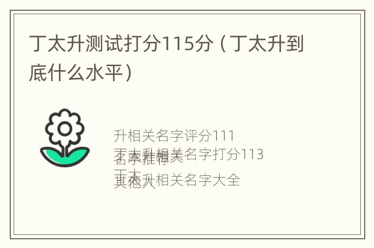 丁太升测试打分115分（丁太升到底什么水平）