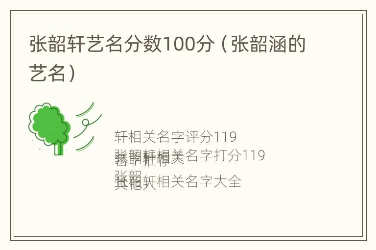 张韶轩艺名分数100分（张韶涵的艺名）