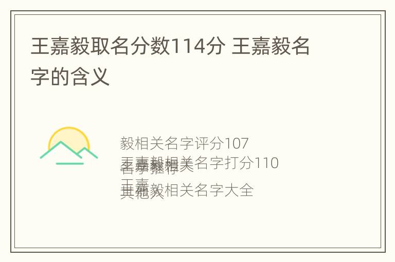 王嘉毅取名分数114分 王嘉毅名字的含义