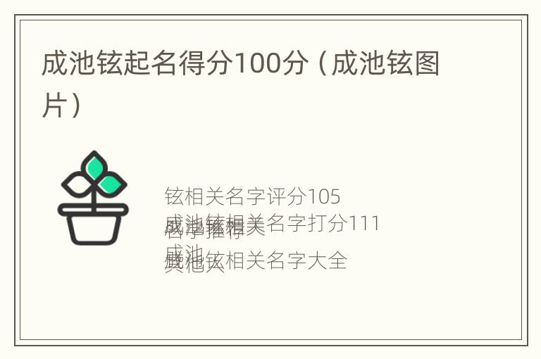 成池铉起名得分100分（成池铉图片）