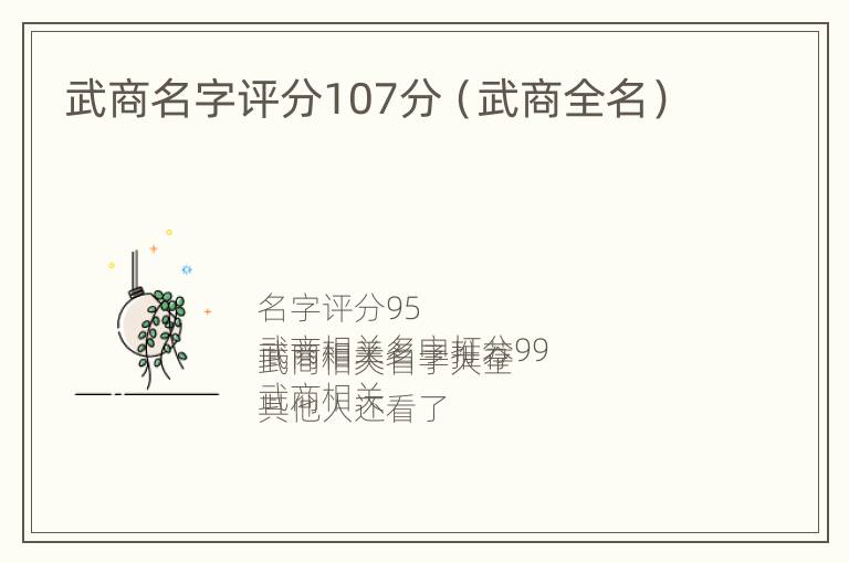 武商名字评分107分（武商全名）