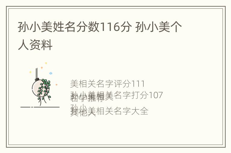 孙小美姓名分数116分 孙小美个人资料