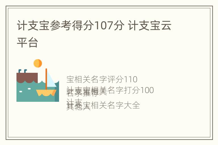 计支宝参考得分107分 计支宝云平台