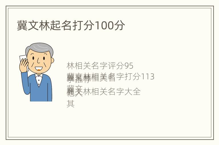 冀文林起名打分100分