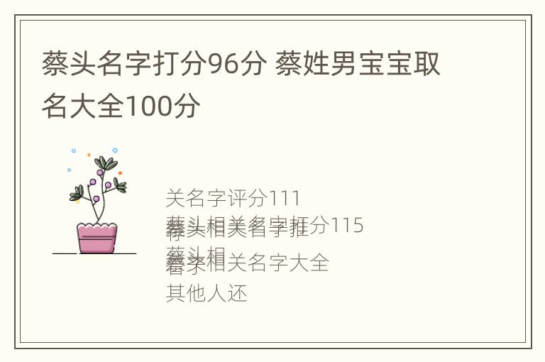 蔡头名字打分96分 蔡姓男宝宝取名大全100分