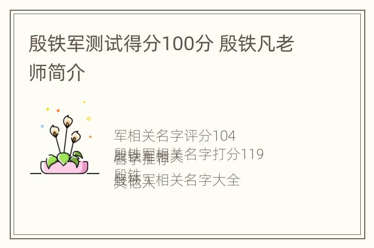 殷铁军测试得分100分 殷铁凡老师简介