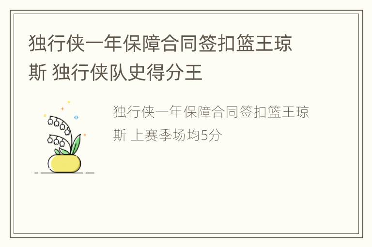 独行侠一年保障合同签扣篮王琼斯 独行侠队史得分王