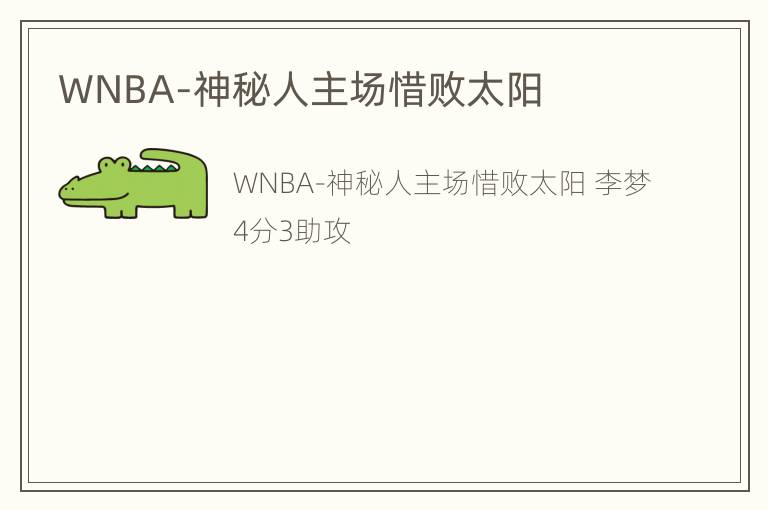 WNBA-神秘人主场惜败太阳