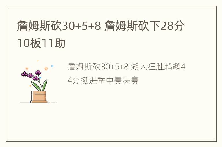 詹姆斯砍30+5+8 詹姆斯砍下28分10板11助