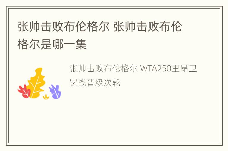 张帅击败布伦格尔 张帅击败布伦格尔是哪一集