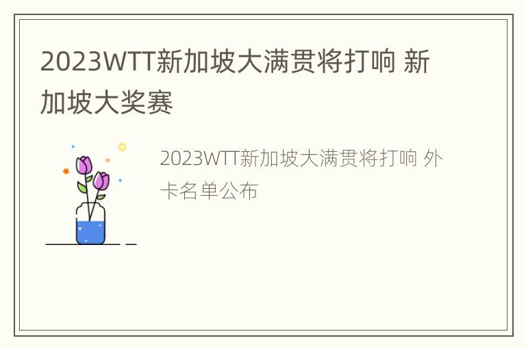 2023WTT新加坡大满贯将打响 新加坡大奖赛