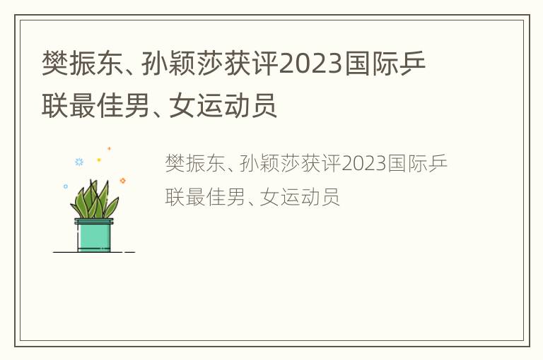 樊振东、孙颖莎获评2023国际乒联最佳男、女运动员