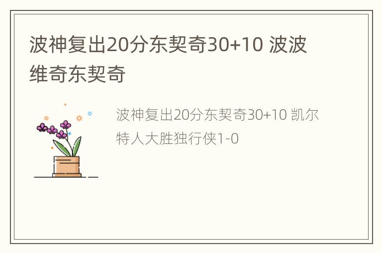 波神复出20分东契奇30+10 波波维奇东契奇