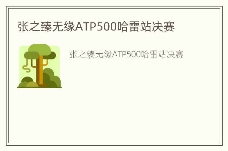 张之臻无缘ATP500哈雷站决赛