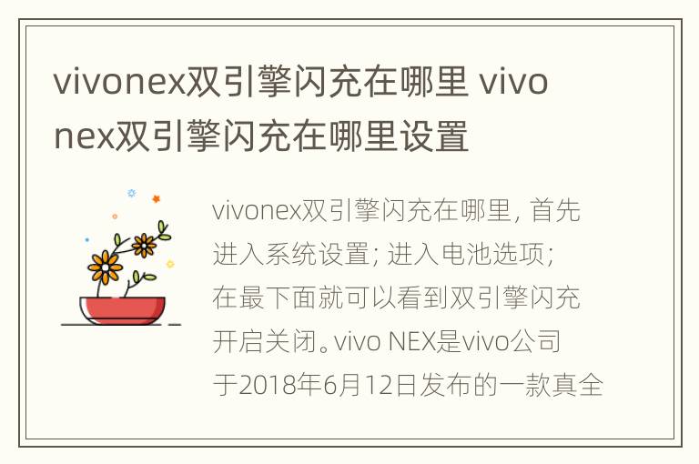 vivonex双引擎闪充在哪里 vivonex双引擎闪充在哪里设置