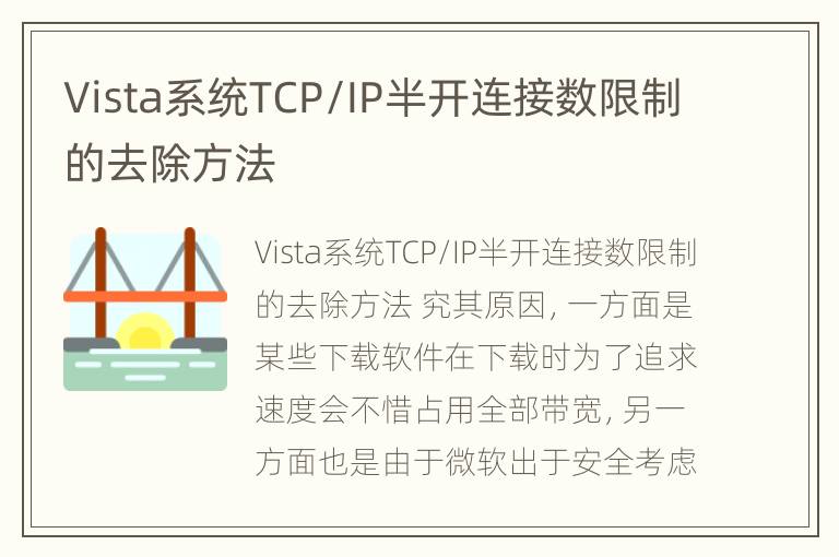 Vista系统TCP/IP半开连接数限制的去除方法