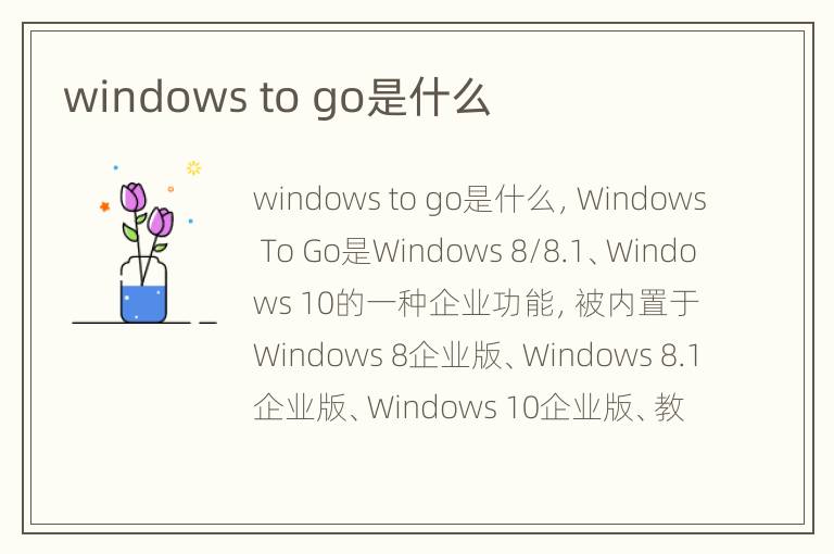 windows to go是什么